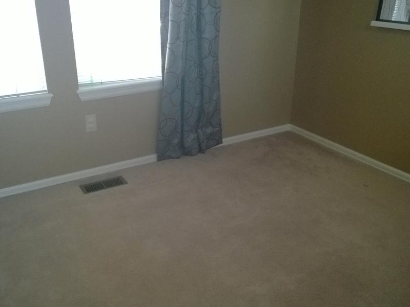 Before and After Lumber Liquidators